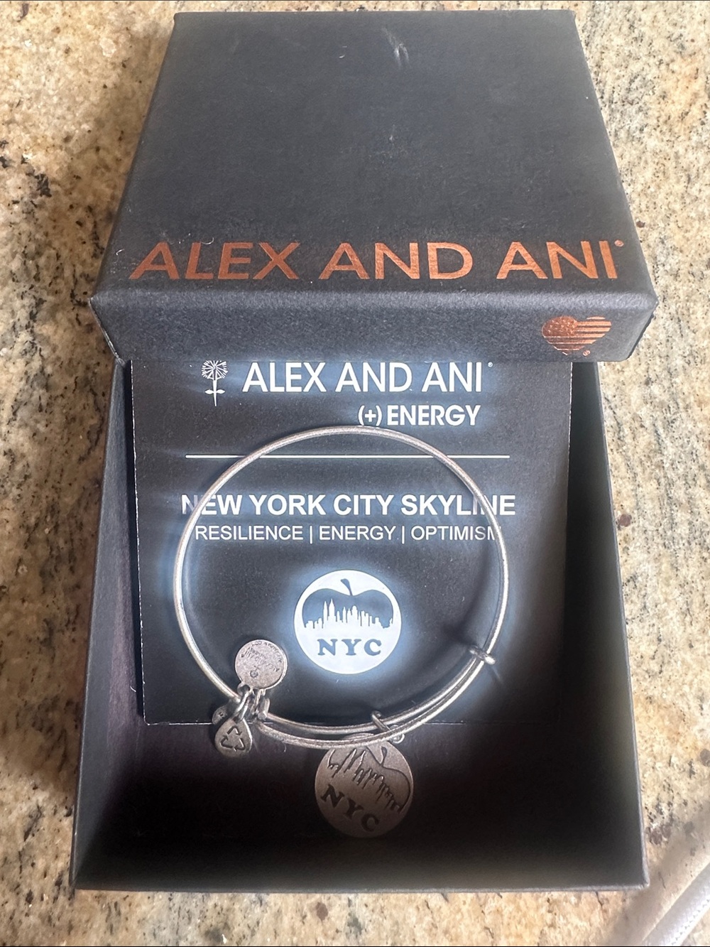 Alex and Ani Silver New York City Skyline Charm Bangle